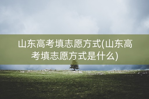山东高考填志愿方式(山东高考填志愿方式是什么)