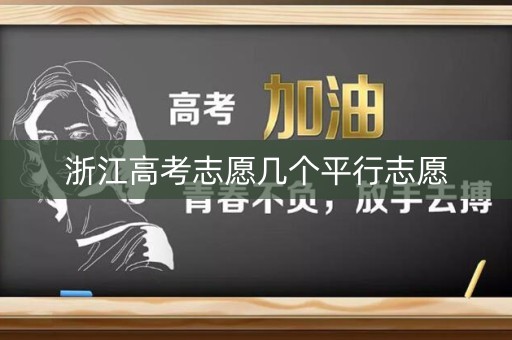浙江高考志愿几个平行志愿