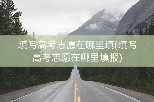 填写高考志愿在哪里填(填写高考志愿在哪里填报)