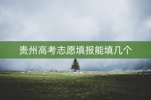 贵州高考志愿填报能填几个