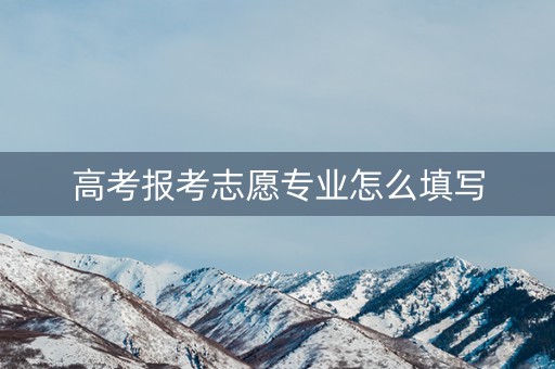 高考报考志愿专业怎么填写