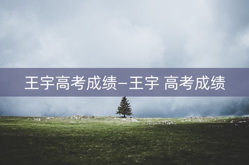 王宇高考成绩—王宇 高考成绩