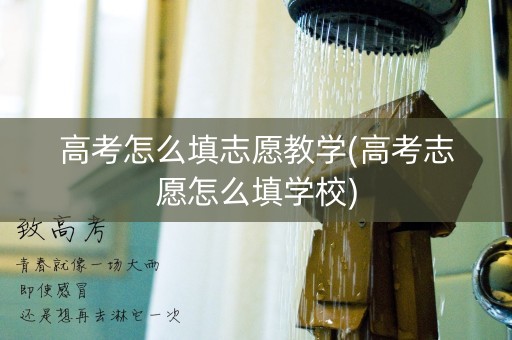 高考怎么填志愿教学(高考志愿怎么填学校)