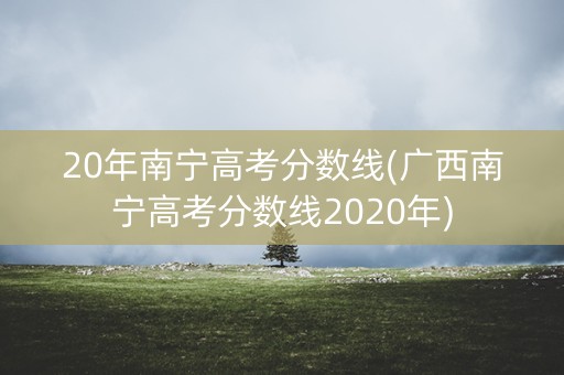 20年南宁高考分数线(广西南宁高考分数线2020年)