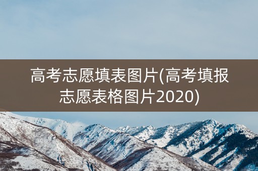高考志愿填表图片(高考填报志愿表格图片2020)