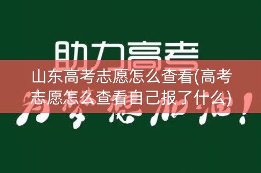 山东高考志愿怎么查看(高考志愿怎么查看自己报了什么)