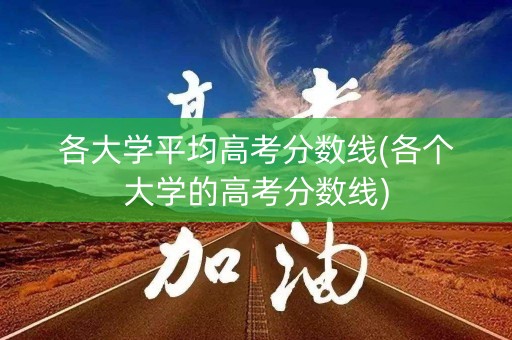 各大学平均高考分数线(各个大学的高考分数线)