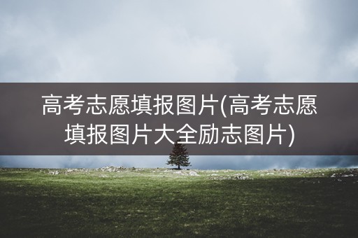 高考志愿填报图片(高考志愿填报图片大全励志图片)