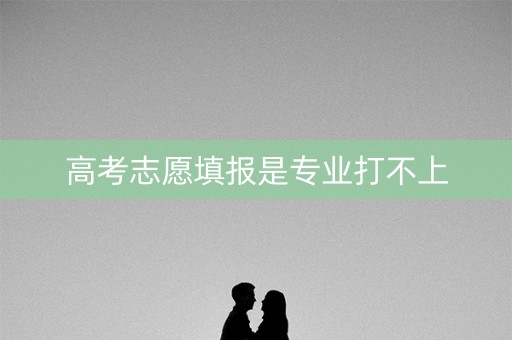 高考志愿填报是专业打不上