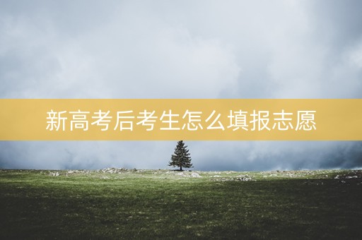 新高考后考生怎么填报志愿