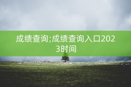 成绩查询;成绩查询入口2023时间