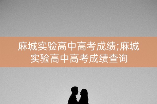 麻城实验高中高考成绩;麻城实验高中高考成绩查询