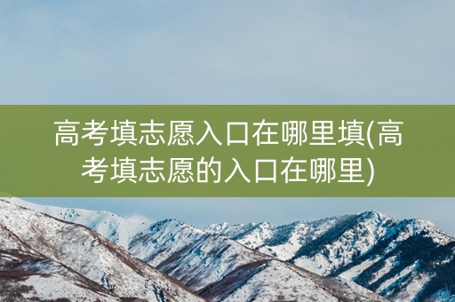 高考填志愿入口在哪里填(高考填志愿的入口在哪里)