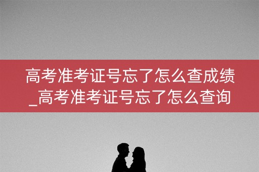 高考准考证号忘了怎么查成绩_高考准考证号忘了怎么查询成绩