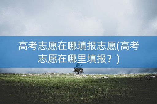 高考志愿在哪填报志愿(高考志愿在哪里填报？)