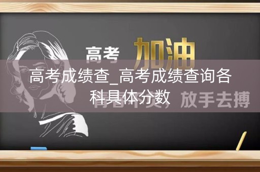 高考成绩查_高考成绩查询各科具体分数