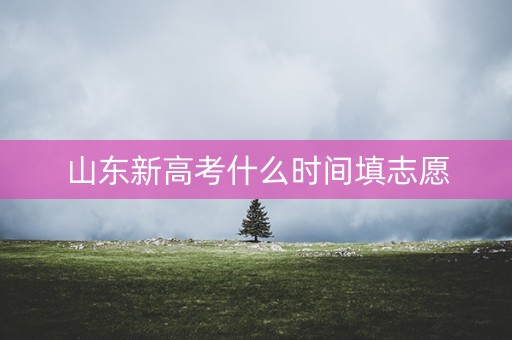 山东新高考什么时间填志愿
