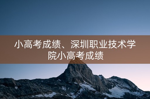 小高考成绩、深圳职业技术学院小高考成绩