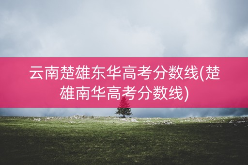 云南楚雄东华高考分数线(楚雄南华高考分数线)