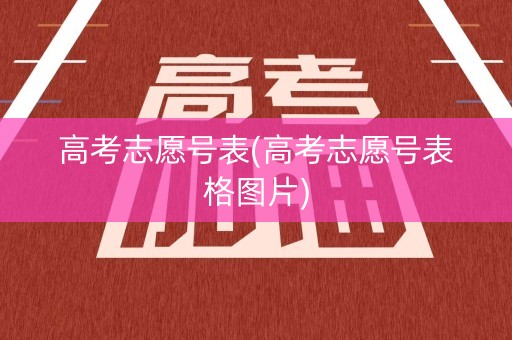 高考志愿号表(高考志愿号表格图片)