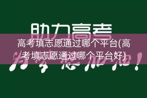 高考填志愿通过哪个平台(高考填志愿通过哪个平台好)