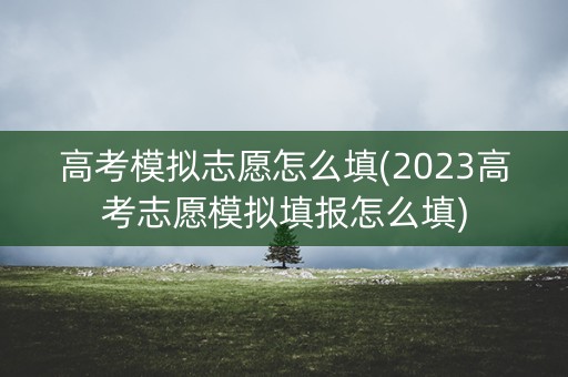 高考模拟志愿怎么填(2023高考志愿模拟填报怎么填)