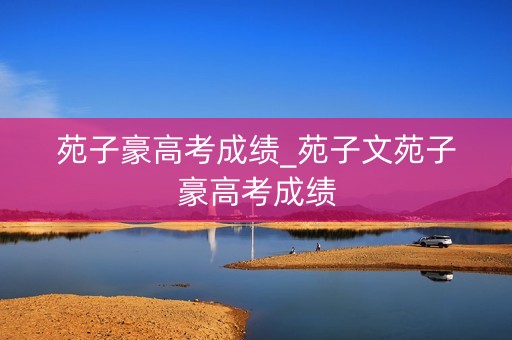 苑子豪高考成绩_苑子文苑子豪高考成绩