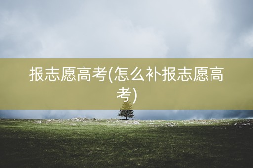 报志愿高考(怎么补报志愿高考)