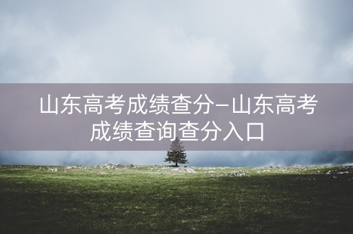 山东高考成绩查分—山东高考成绩查询查分入口