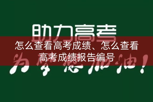 怎么查看高考成绩、怎么查看高考成绩报告编号