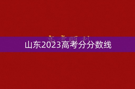 山东2023高考分分数线