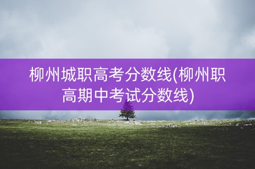 柳州城职高考分数线(柳州职高期中考试分数线)