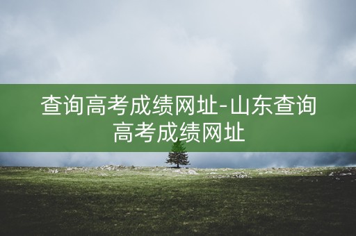 详细阅读:查询高考成绩网址-山东查询高考成绩网址 查询高考成绩网址-山东查询高考成绩网址