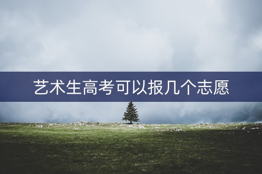 艺术生高考可以报几个志愿