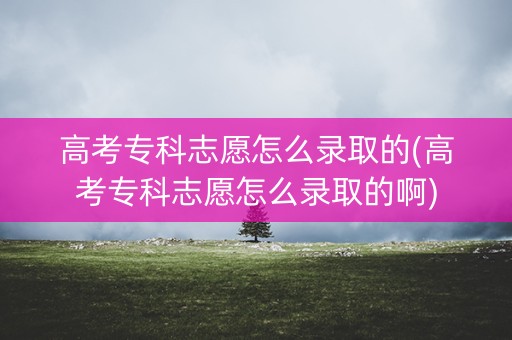 高考专科志愿怎么录取的(高考专科志愿怎么录取的啊)