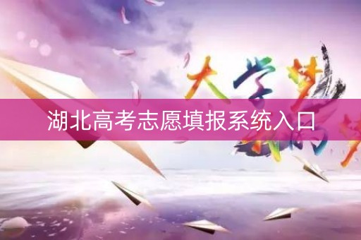 湖北高考志愿填报系统入口