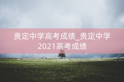 贵定中学高考成绩_贵定中学2021高考成绩