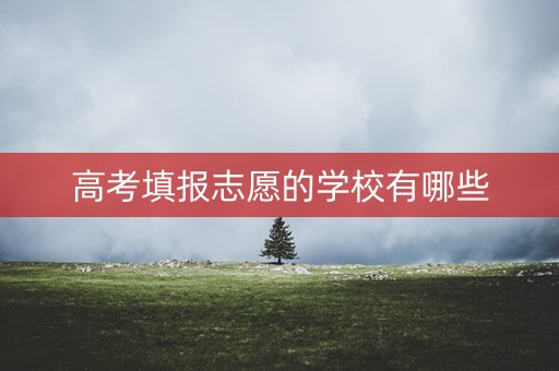 高考填报志愿的学校有哪些