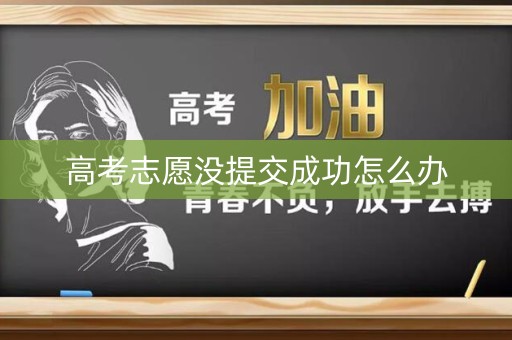 高考志愿没提交成功怎么办