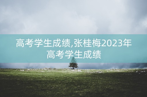 高考学生成绩,张桂梅2023年高考学生成绩