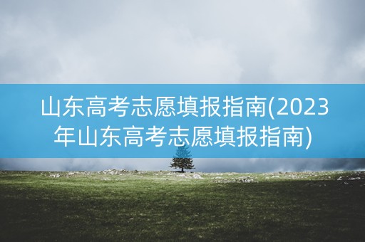 山东高考志愿填报指南(2023年山东高考志愿填报指南)
