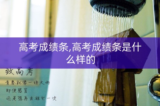 高考成绩条,高考成绩条是什么样的