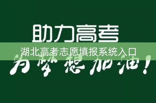 湖北高考志愿填报系统入口