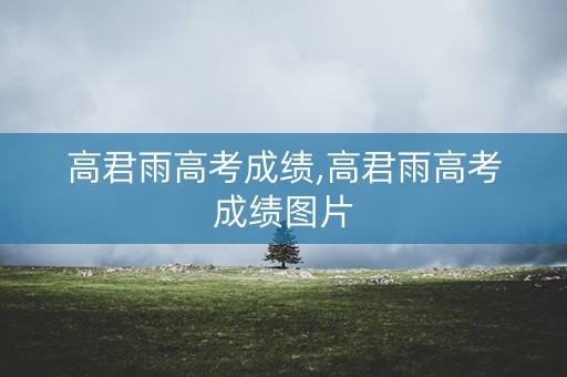 高君雨高考成绩,高君雨高考成绩图片