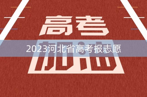 2023河北省高考报志愿