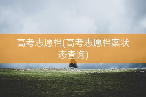 高考志愿档(高考志愿档案状态查询)