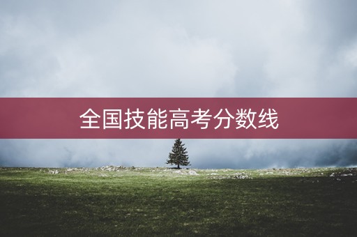 全国技能高考分数线