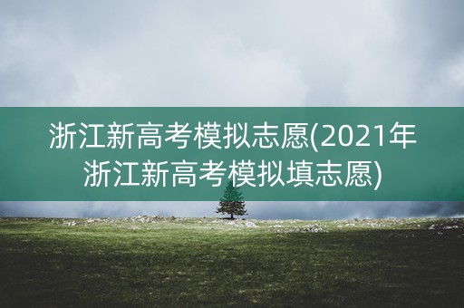 浙江新高考模拟志愿(2021年浙江新高考模拟填志愿)