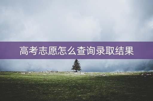 高考志愿怎么查询录取结果