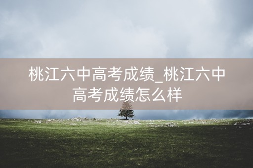 桃江六中高考成绩_桃江六中高考成绩怎么样